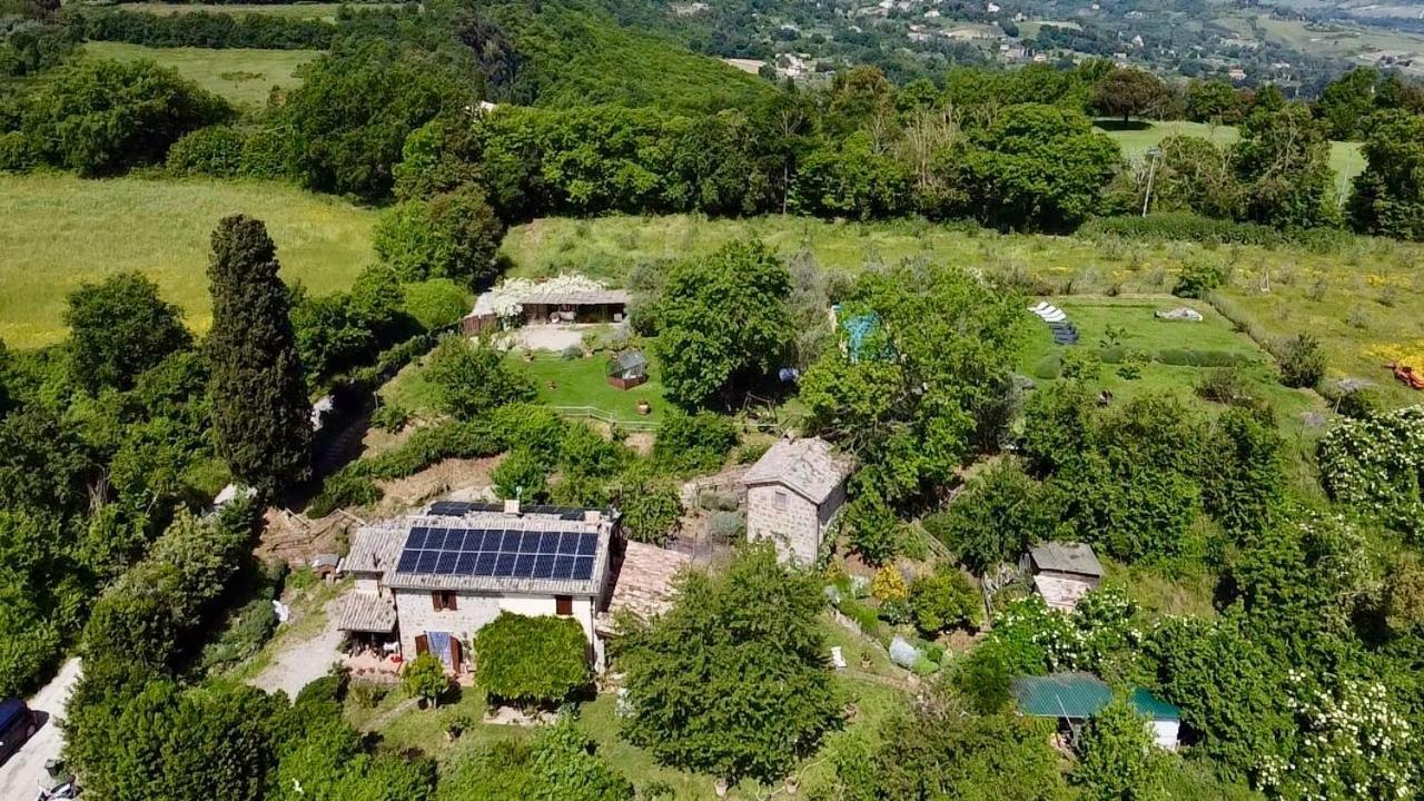 Porano Agriturismo La Cervaiola Piccola Dimora Di Campagna المظهر الخارجي الصورة