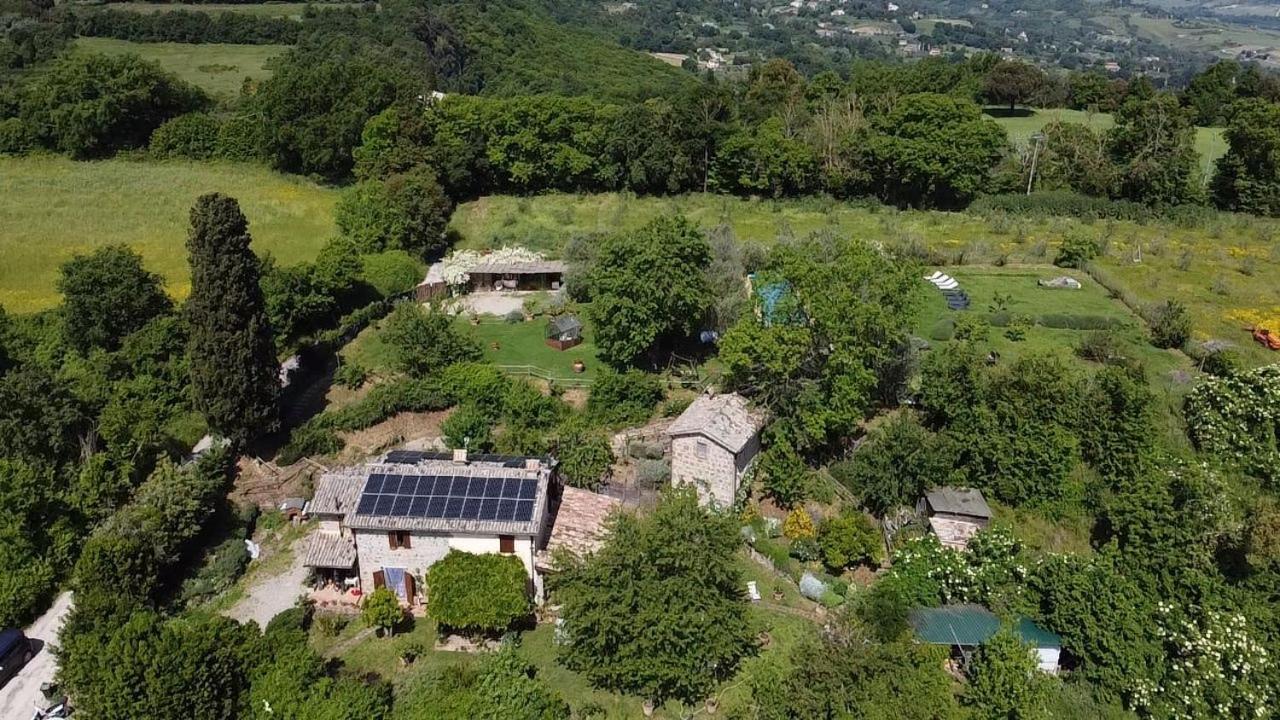 Porano Agriturismo La Cervaiola Piccola Dimora Di Campagna المظهر الخارجي الصورة