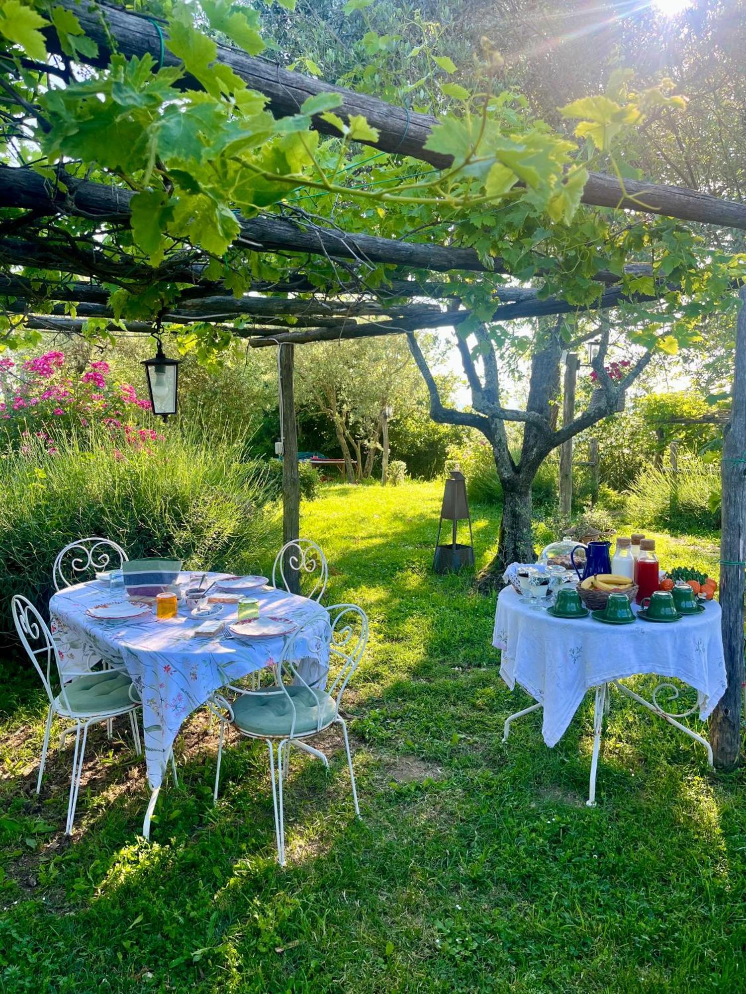 Porano Agriturismo La Cervaiola Piccola Dimora Di Campagna المظهر الخارجي الصورة
